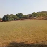 pirenopolis:-moradores-lutam-contra-padre-na-justica-para-manter-campo-de-futebol-de-60-anos