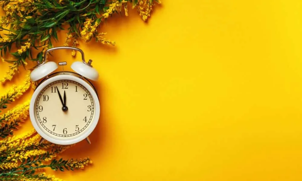 mme-confirma:-brasil-sem-horario-de-verao-em-2025-por-seguranca-energetica