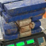 policia-encontra-9-kg-de-maconha-enterrados-em-quintal-de-casa-em-caldas-novas