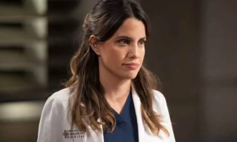 quem-morreu-em-grey’s-anatomy?-nova-temporada-inicia-com-morte-tragica-de-personagem-querida-no-hospital