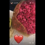 virginia-posta-indiretas-e-revela-como-esta-apos-fim-de-affair-com-vini-jr.