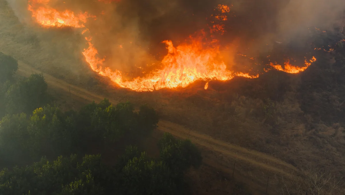 raio-causa-incendio-na-chapada-dos-veadeiros-e-acampados-sao-retirados-do-parque