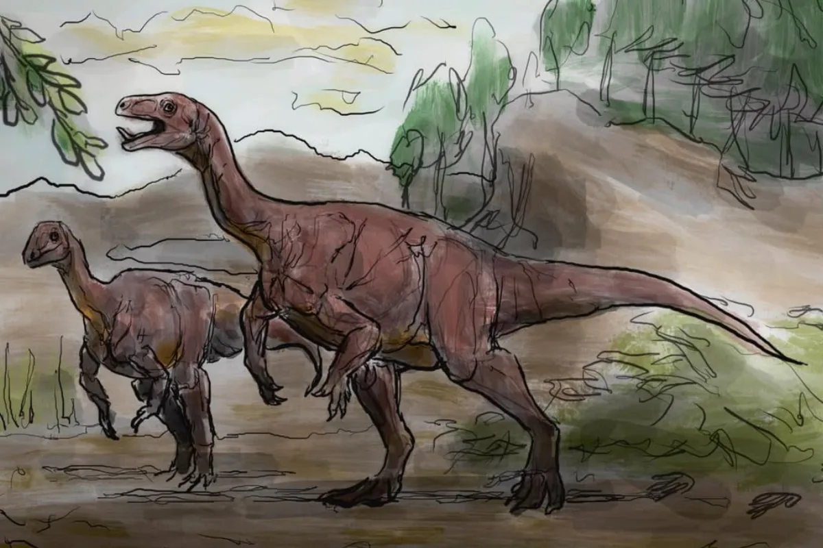 esqueleto-de-nova-especie-de-dinossauro-e-descoberto-na-argentina