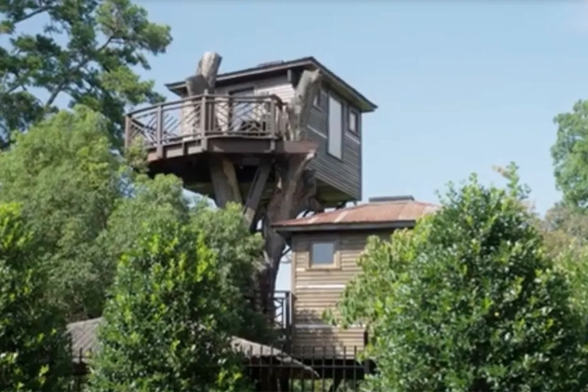 bilionario-gasta-us$-400-mil-para-construir-‘mansao’-na-arvore;-video