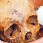 Polícia acha mais de 12 crânios e ossos humanos em apartamento de São Paulo