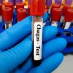 Desigualdade no acesso a creche aumenta entre ricos e pobres no Brasil, aponta estudo