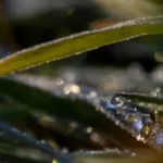 Baixas temperaturas podem causar geadas no Sul e Sudeste, diz Inmet