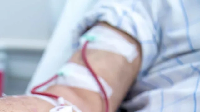 'Vira-lata' anda 12 km para ir ao velório do dono: "Verdadeiro amor"