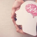 Área queimada da Amazônia em 2024 foi maior do que totalidade da Bélgica