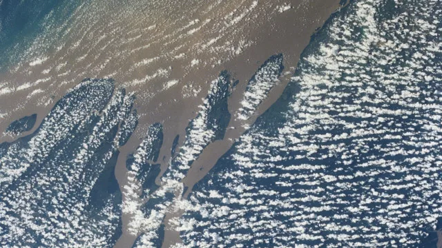 Ambientalistas e cientistas pedem medidas urgentes para salvar o Pantanal