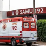 Criança sobrevive por dias ao lado dos pais mortos em acidente em rodovia de Pernambuco