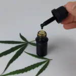 Prefeitura de São Paulo vai ampliar indicação de canabidiol no SUS para 31 doenças