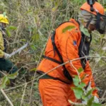 Brasil registra menor número de queimadas da série histórica em agosto