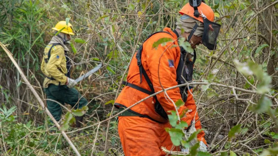 Brasil registra menor número de queimadas da série histórica em agosto