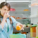 Calor segue nesta quinta (2) em SP com temperatura máxima de 31°C