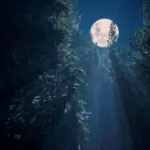 le-calendrier-lunaire-de-novembre-2025-revele-la-pleine-lune-du-5-a-10h19-et-les-phases-exactes-a-brasilia
