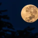 lua-do-castor-podera-ser-vista-nesta-semana;-saiba-quando-e-como-observar