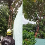 homem-morre-apos-sofrer-choque-eletrico-enquanto-podava-arvore-em-caldas-novas