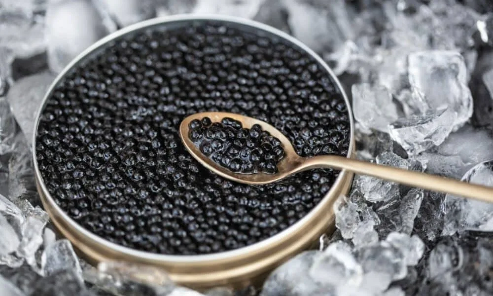 prelibatezza-di-lusso:-il-caviale-italiano-brilla-nei-piatti-dei-ristoranti-d’elite-in-brasile