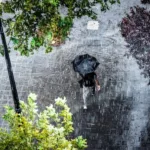 alerta-de-tempestade-atinge-19-cidades-em-goias-com-previsao-de-ventos-fortes-e-raios-nesta-quinta-feira