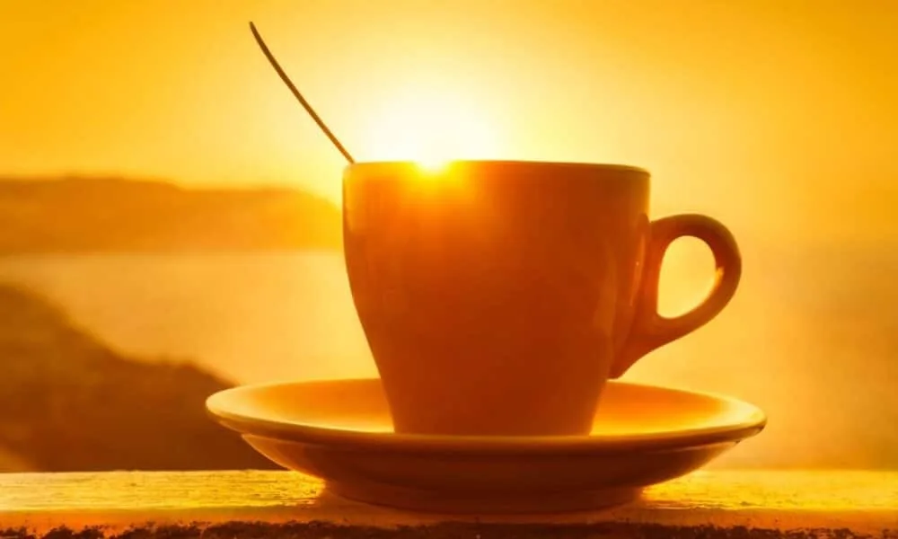 50-mensagens-de-bom-dia-curtas-e-carinhosas-que-vao-iluminar-o-dia-de-quem-recebe-no-whatsapp