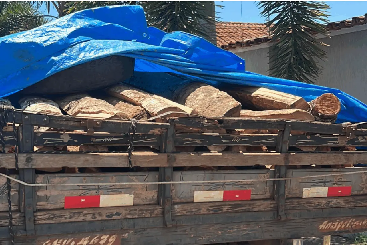 homem-e-preso-com-caminhao-de-madeira-ilegal-em-jaragua