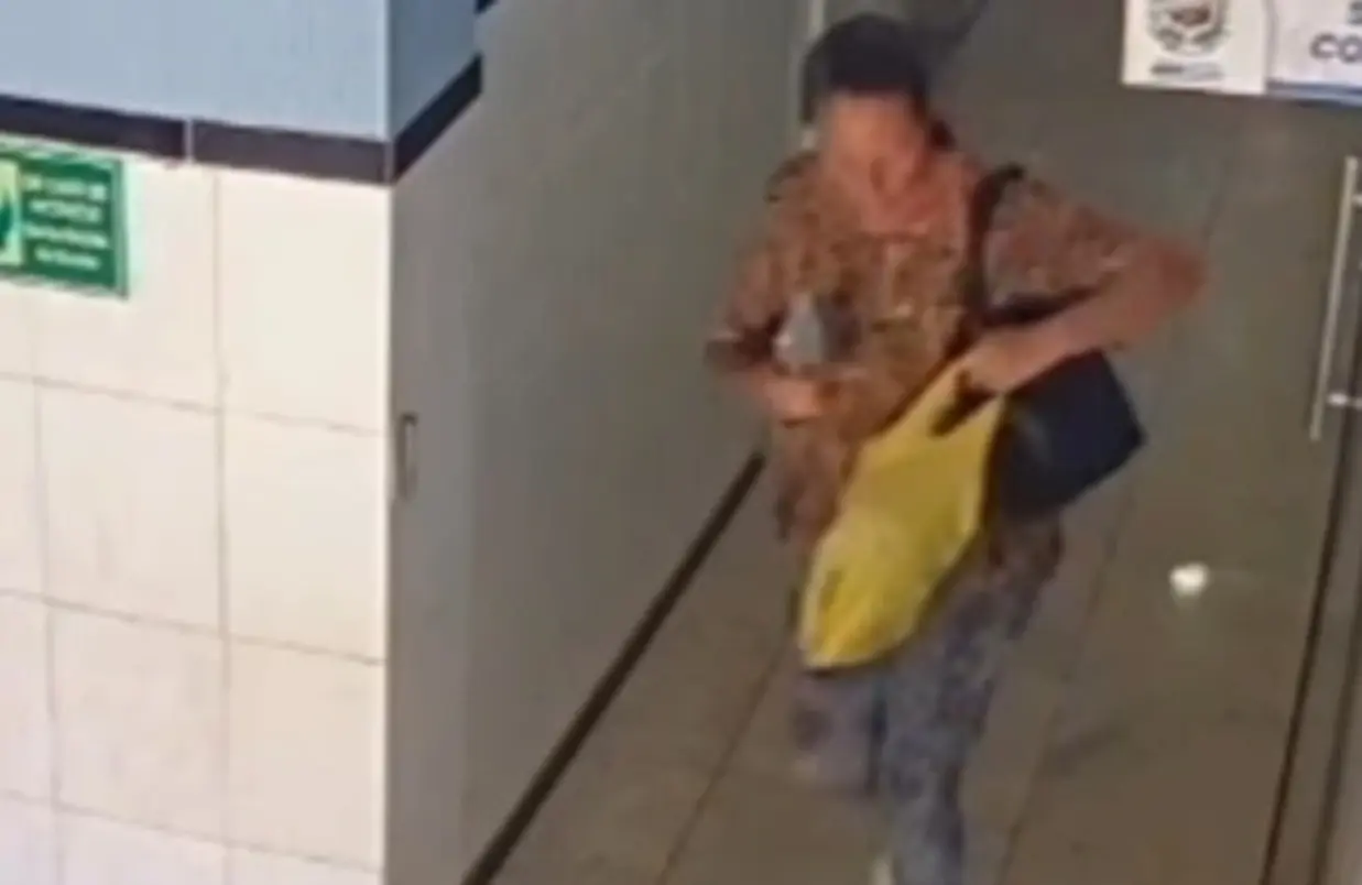 mulher-e-filmada-furtando-celular-na-camara-de-vereadores-de-novo-gama;-video