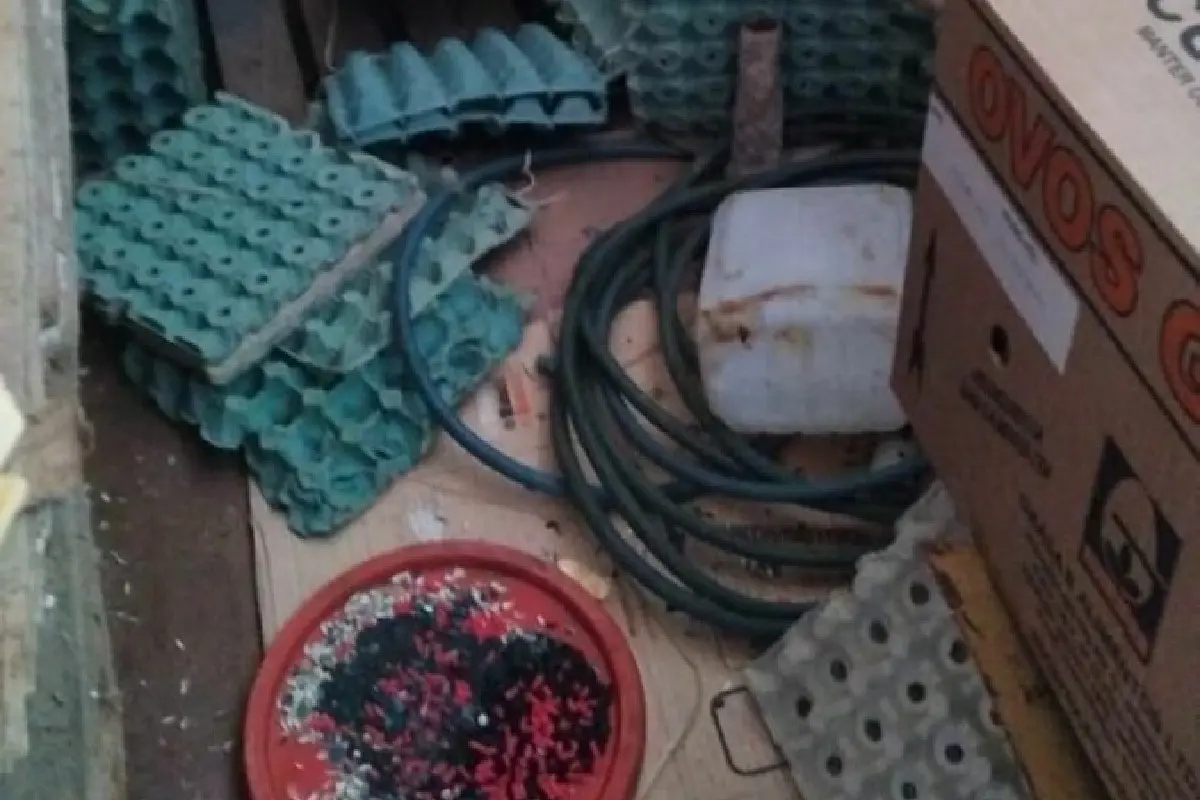 ratos-e-pneus-velhos:-policia-fecha-deposito-clandestino-de-ovos-em-aparecida