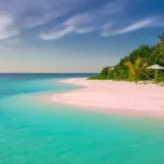 suposto-criminoso-em-fuga,-preso-em-formosa,-diz-que-queria-‘conhecer-o-mar’-antes-de-se-entregar