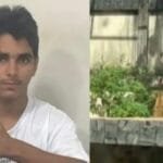 saiba-quem-e-‘vaqueirinho’,-homem-morto-por-leoa-em-zoologico-de-joao-pessoa-–-radio-itatiaia