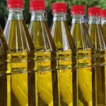 Lista de azeites proibidos cresce e já soma 26 marcas em 2025; veja quais
