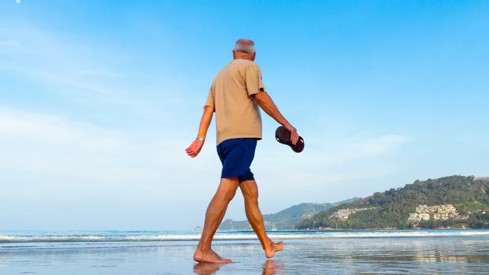 Expectativa de Vida no Brasil Atinge Recorde de 76,6 Anos