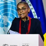 Marina Silva: Derrubada de Vetos Demole Licenciamento Ambiental Brasileiro
