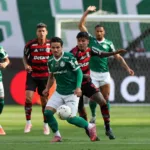 palmeiras-se-torna-o-clube-brasileiro-com-mais-vices-na-historia-da-libertadores