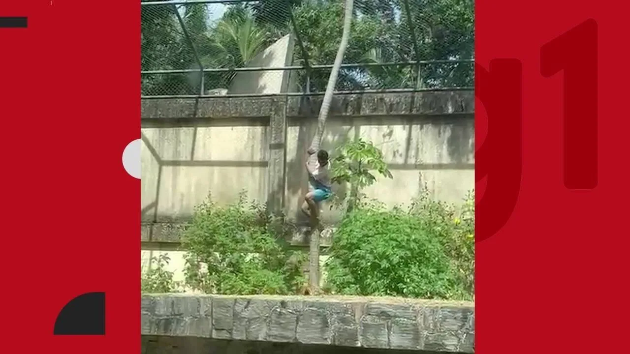 justica-da-pb-determinou-mais-de-uma-vez-a-internacao-do-homem-que-morreu-ao-invadir-recinto-de-leoa-em-joao-pessoa-–-g1