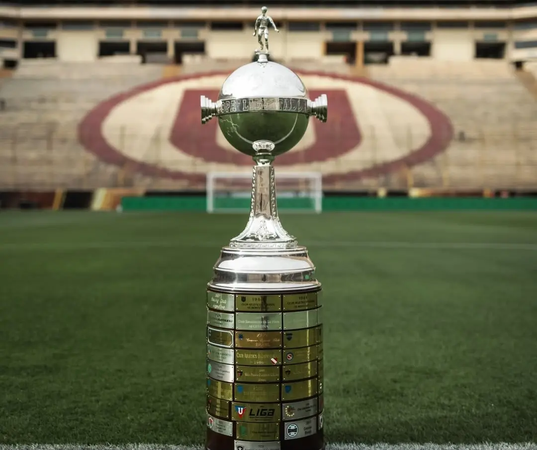 mirassol,-botafogo,-fluminense-e-bahia-brigam-por-duas-vagas-diretas-na-libertadores;-veja-o-que-cada-time-precisa