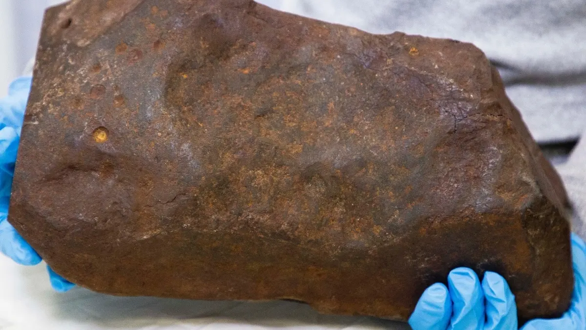 australiano-guarda-rocha-acreditando-ter-achado-ouro,-mas-se-surpreende-com-a-verdade