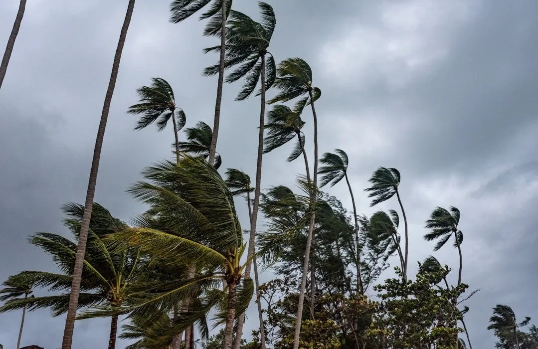 ciclone-ditwah-enfraquece,-mas-traz-chuvas-moderadas-a-intensas-para-sul-de-andhra-pradesh-nesta-semana