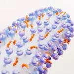 vsr:-protecao-para-adultos-50+-com-comorbidade-e-aprovada-–-valor-economico