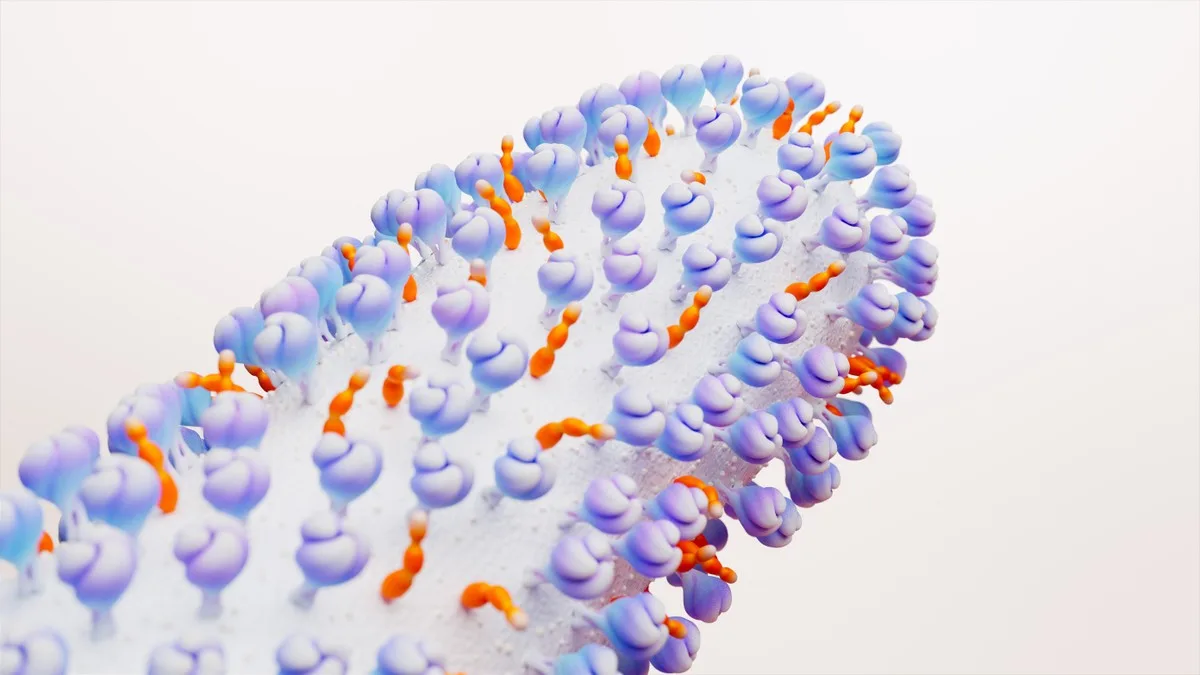 vsr:-protecao-para-adultos-50+-com-comorbidade-e-aprovada-–-valor-economico