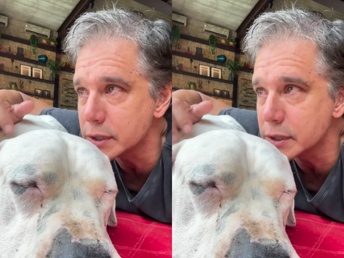 linfoma-em-cachorro:-o-que-tutores-precisam-saber-apos-o-caso-de-bogo,-pet-de-marcio-garcia