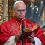 papa-leao-xiv-aprova-prazer-sexual-entre-casados:-“nao-precisa-ser-so-procriacao”