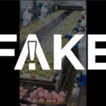 e-#fake-video-de-operarios-‘tingindo’-frutas-e-verduras-em-fabrica-na-china;-cena-foi-criada-com-inteligencia-artificial