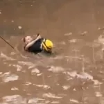 chuva-forte-provoca-momentos-de-panico-e-estragos-em-diferentes-regioes-de-goiania;-veja-casos