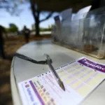 concurso-3556-da-lotofacil:-veja-resultado-e-os-premios-que-sairam-para-goias