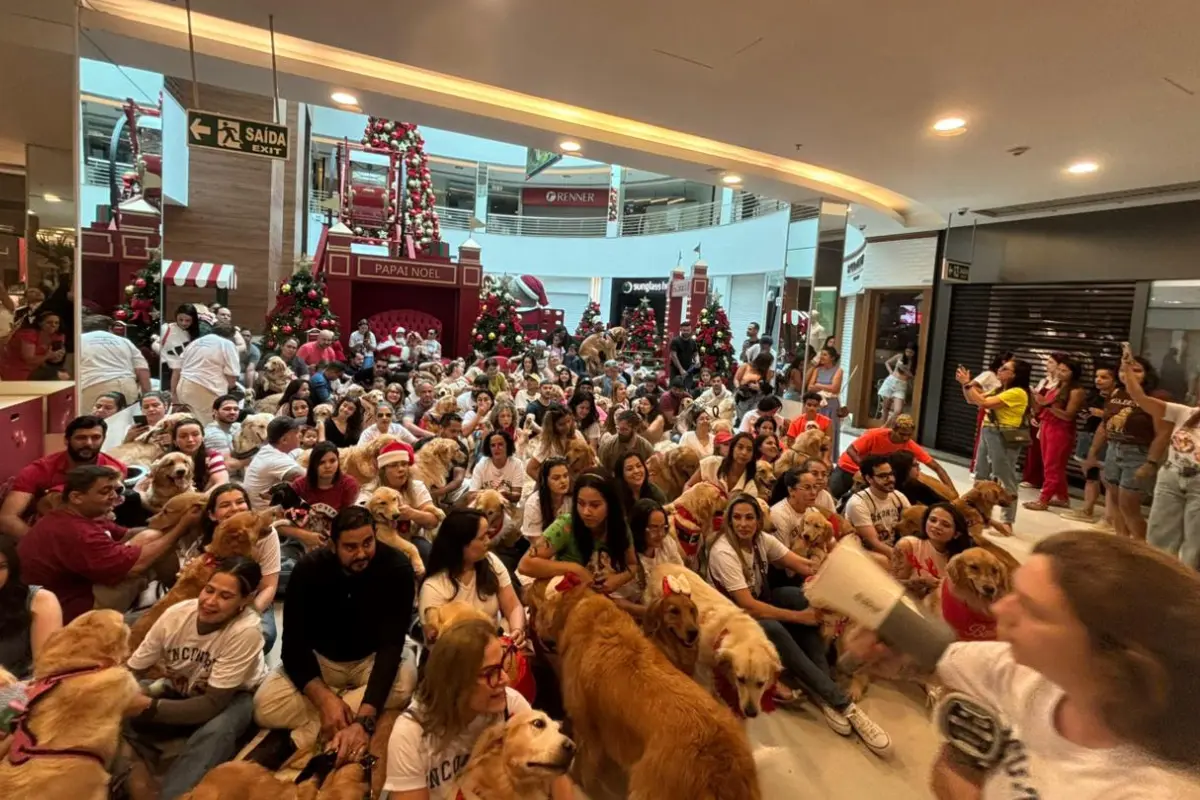 goiania-shopping-reune-125-golden-retrievers-em-encontro-com-papai-noel