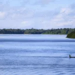 ilha do marajo 1ac4a386d8 Casal é preso em flagrante ao Tentar comprar criança no Marajó, Pará