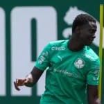 palmeiras-inscreve-zagueiro-da-costa-do-marfim-no-campeonato-paulista