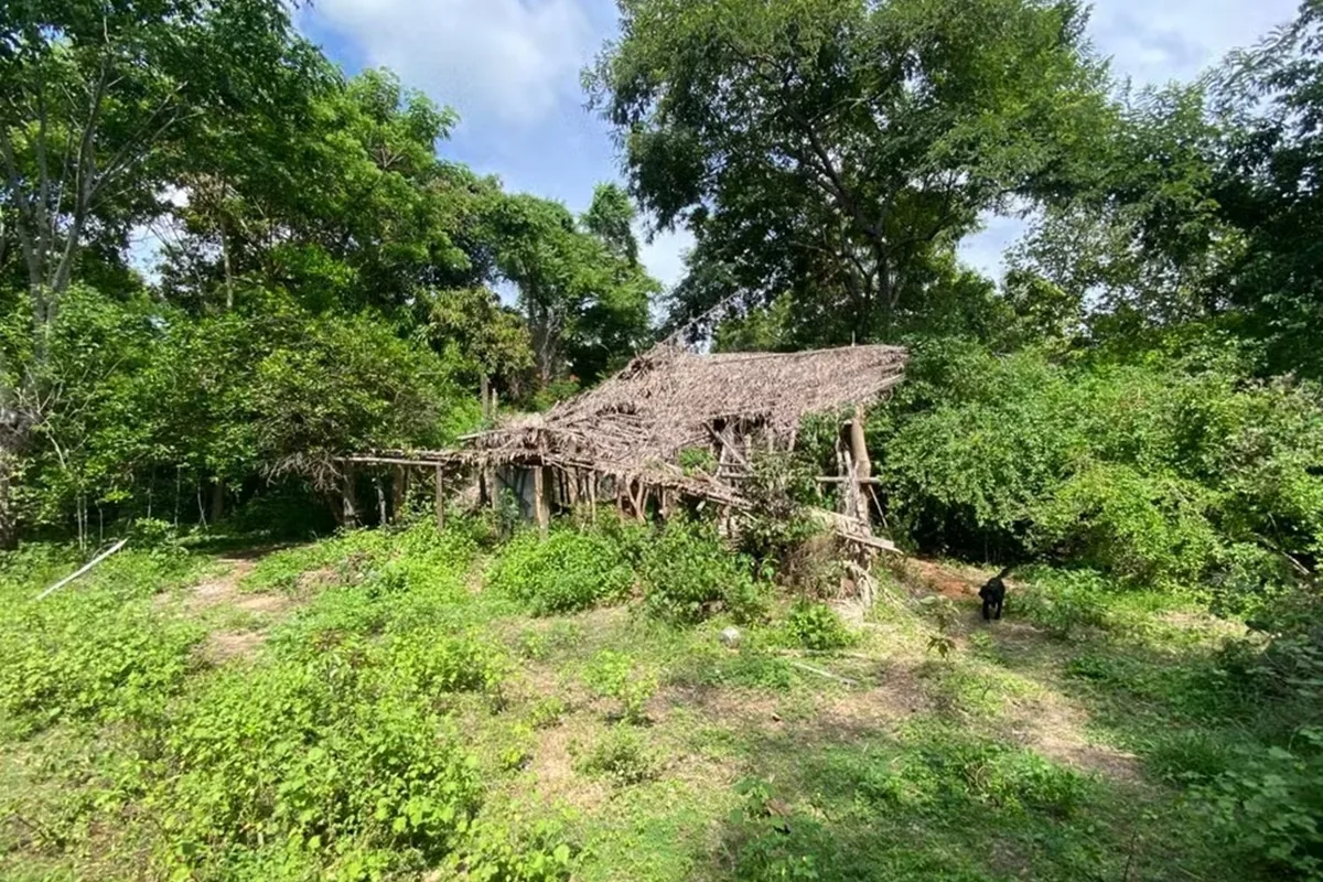 bacabal:-saiba-como-policia-achou-a-“casa-caida”-onde-criancas-dormiram