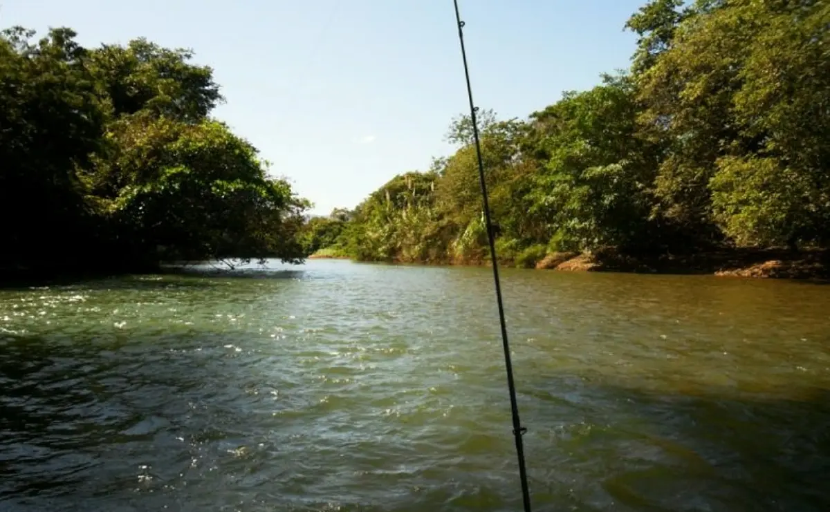 rio-parana:-aumento-repentino-no-volume-de-agua-provoca-morte-em-formosa